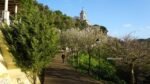 恩寵花園 Jardim da Cerca da Graça
