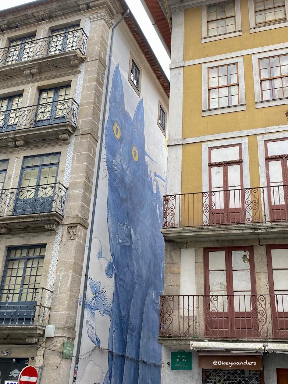 Blue cat mural arts in Rua das Flores 藍貓壁畫