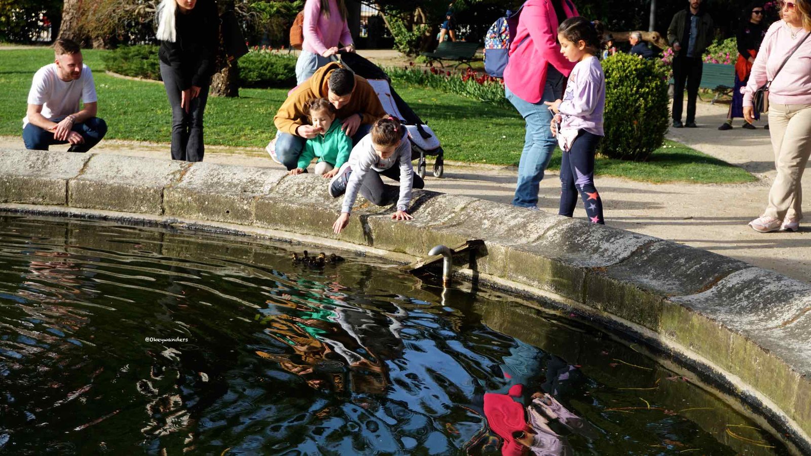 人們嘗試帶小鴨上岸 People trying to get ducklings out of the fountain